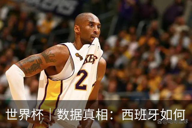 世界杯｜数据真相：西班牙如何“技术性击倒”法国