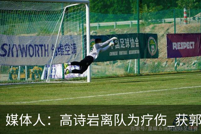 媒体人：高诗岩离队为疗伤 获郭士强重用因为是嫡系