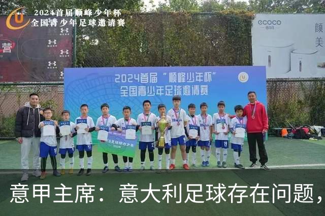 意甲主席：意大利足球存在问题，但意甲联赛依然有竞争力和吸引力