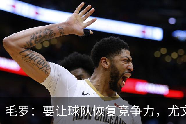 毛罗：要让球队恢复竞争力，尤文还缺4名高水平球员