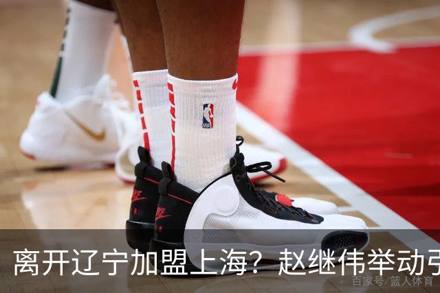 离开辽宁加盟上海？赵继伟举动引猜想，卢伟表态有深意 1队更合适