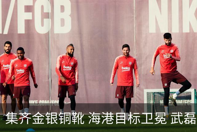 集齐金银铜靴 海港目标卫冕 武磊的伤是个麻烦