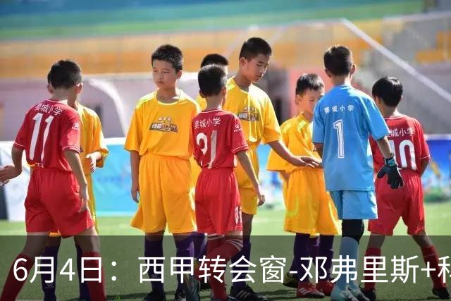 6月4日：西甲转会窗-邓弗里斯+科纳特将加盟皇马，巴萨和马竞继续酝酿补强